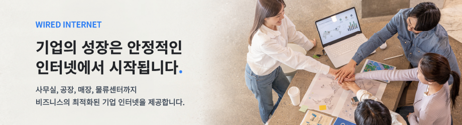 유선인터넷 - 비즈니스에 최적화된 기업 인터넷